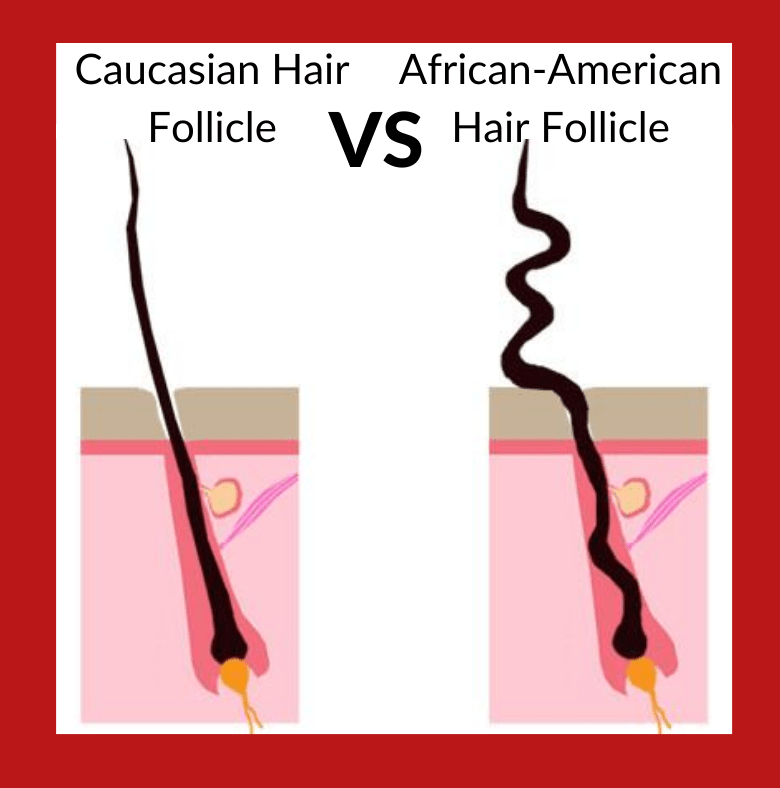 african-american Hair Follicle maxim